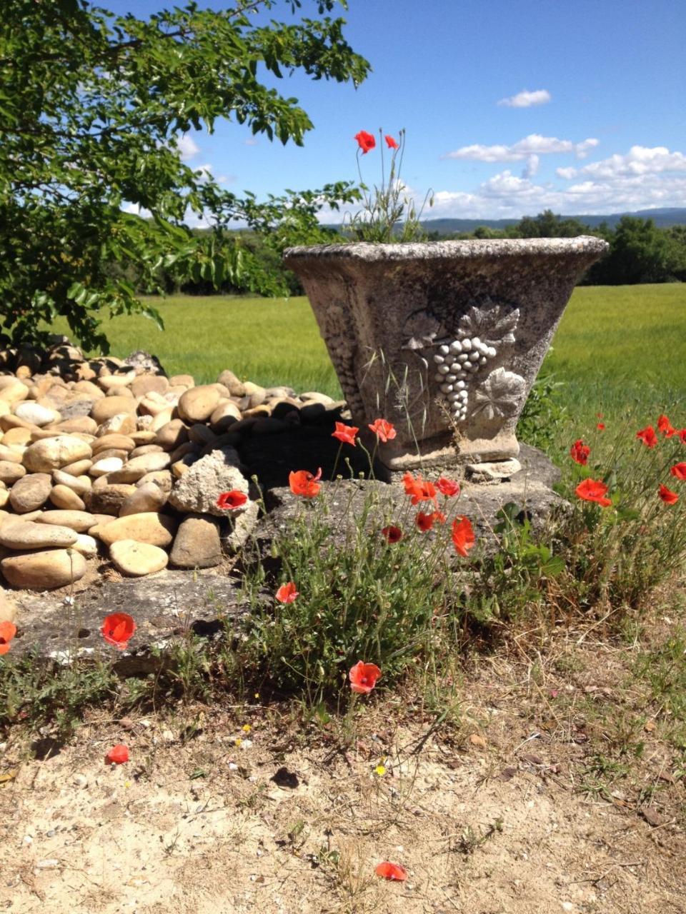 La Salamandre Bleue Villa Chantemerle-lès-Grignan Exterior foto